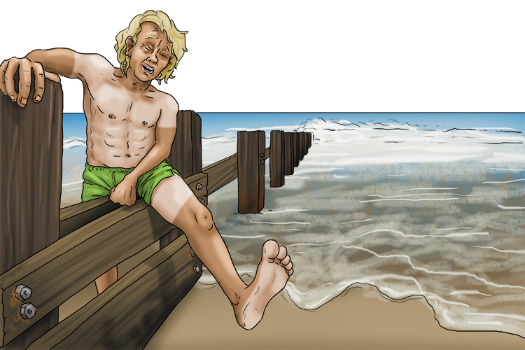 His groin (groyne) was in agony. He had slipped and hurt himself on the wooden barriers at the beach.